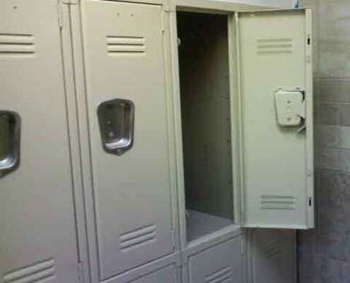 Specialty Paint: Electrostatic