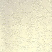 Specialty Paint: Stucco